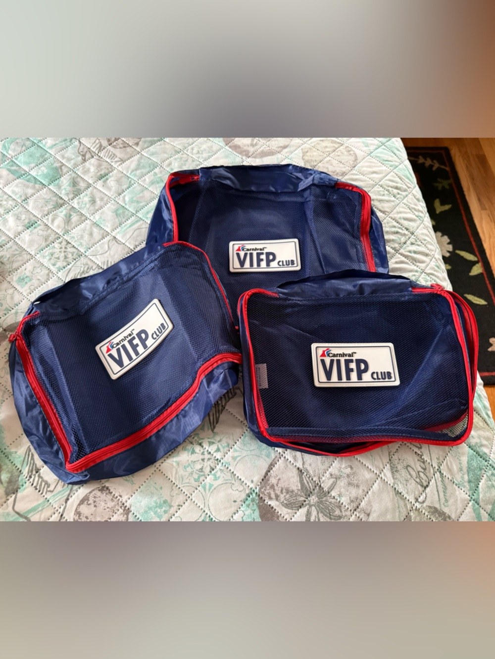 Carnival Cruise VIFP Travel Pouch Set & 5 Colorful Shot Glasses